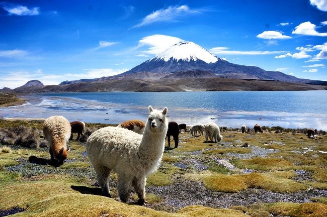 parc national de lauca