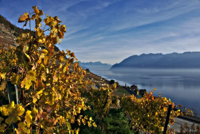 novembre Lavaux