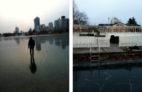 frozen Danube