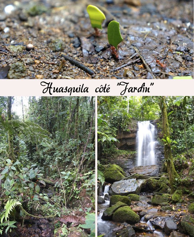 amazonia, ecuador