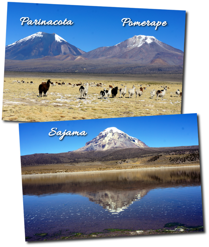 Sajama Parinacota