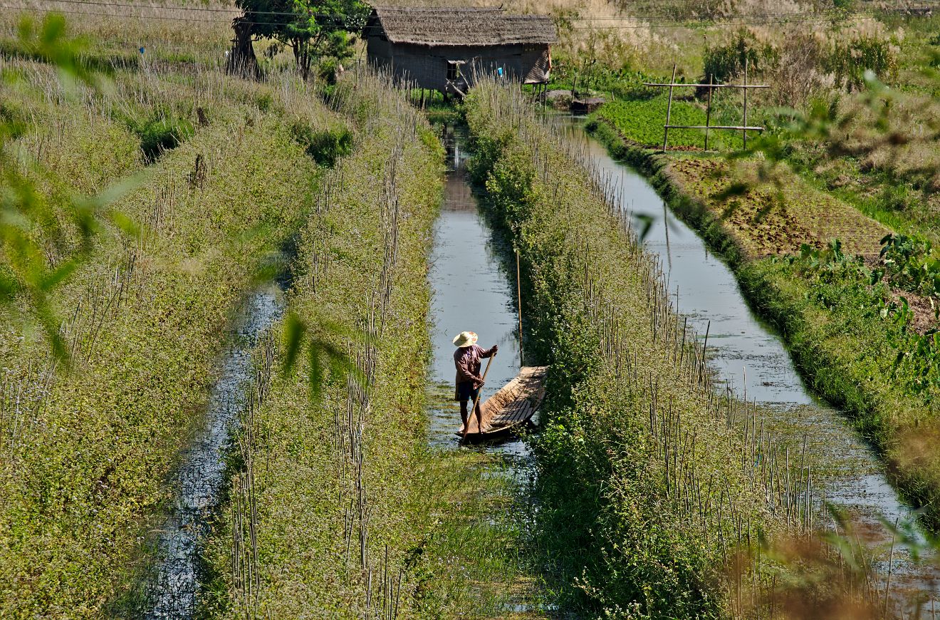 paysan birman au travail