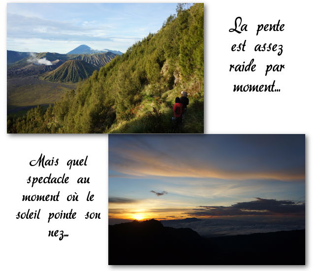 around Cemoro Lawang night hike bromo