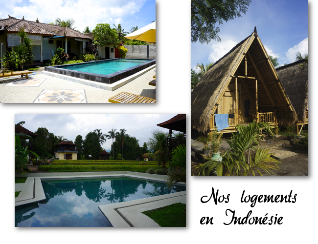 hotels in indonesia