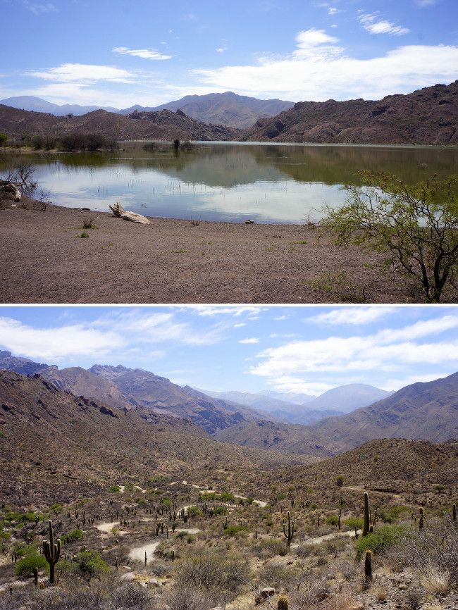 lagune de brealito