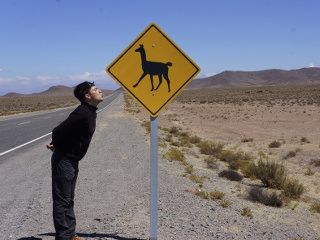 roadtrip en argentine