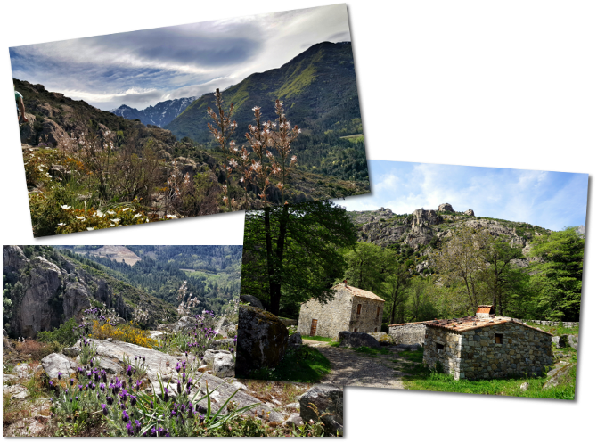 la Corse au printemps c'est sympa non? corse printemps