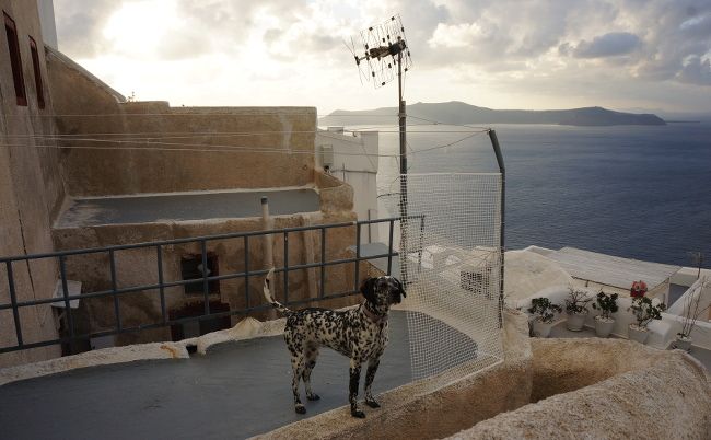 dalmatien en terrasse