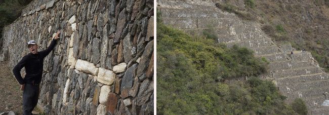 les lamas de choquequirau lama dans les ruines