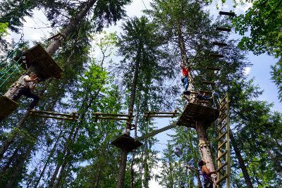 prendre de la hauteur parc aventure dans les arbres