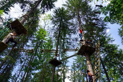 parc aventure dans les arbres