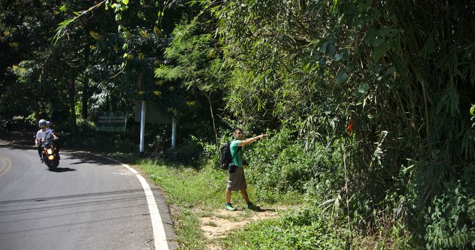 suivez le guide ;) le sentier pour monter à doi suthep
