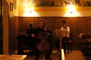musiciens in Heuriger in Vienna