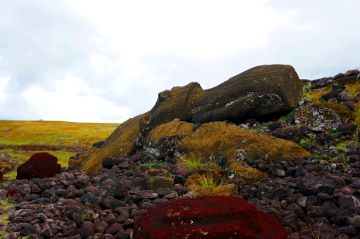 Un moai tombé par terre moai couche