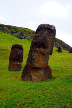 les moais plantés dans la terre à Rano Raraku moai rano raraku