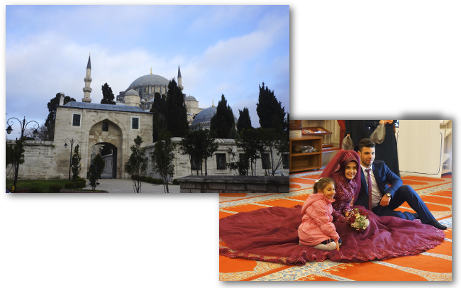 chat d'hagia sofia