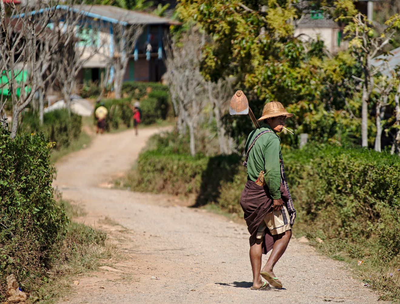 birman partant au travail aux champs