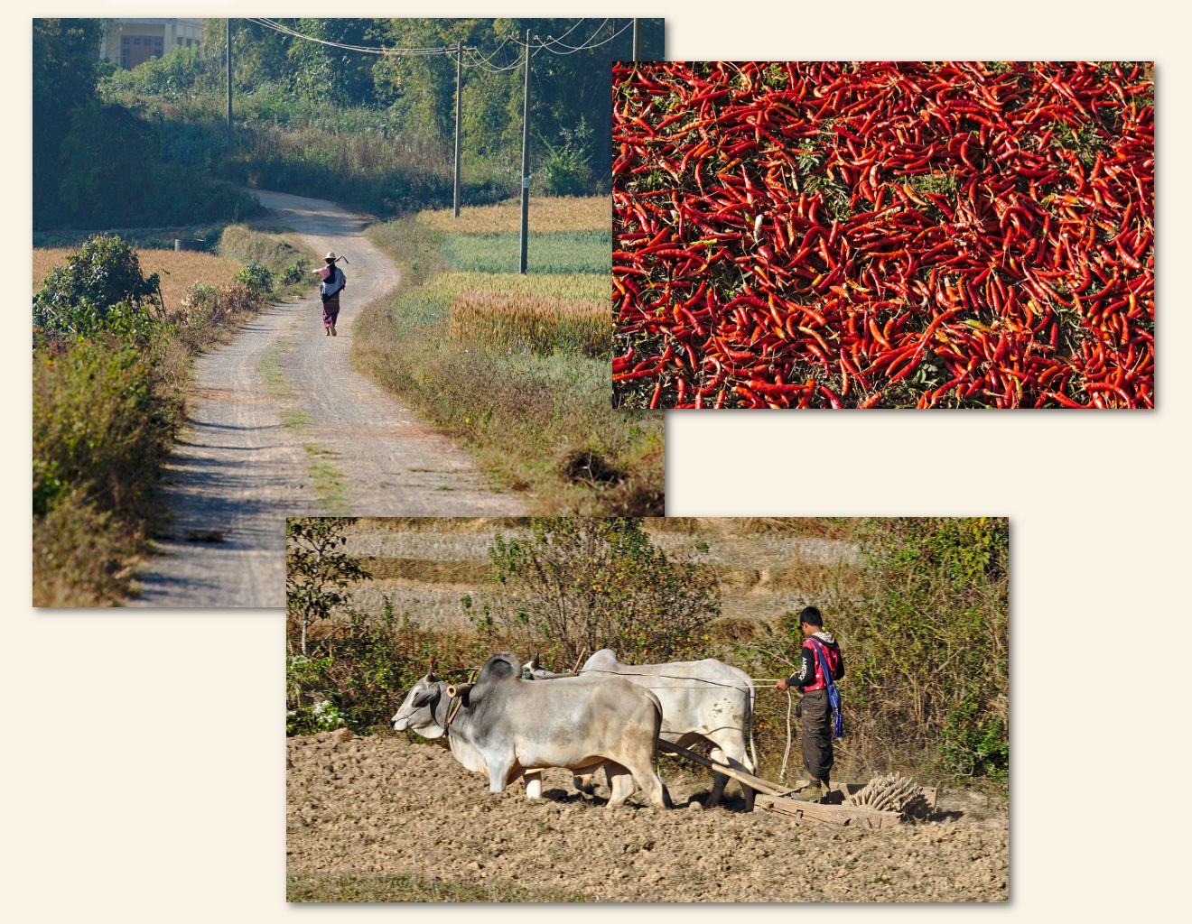 en chemin vers le premier village trekking kalaw inle paysages