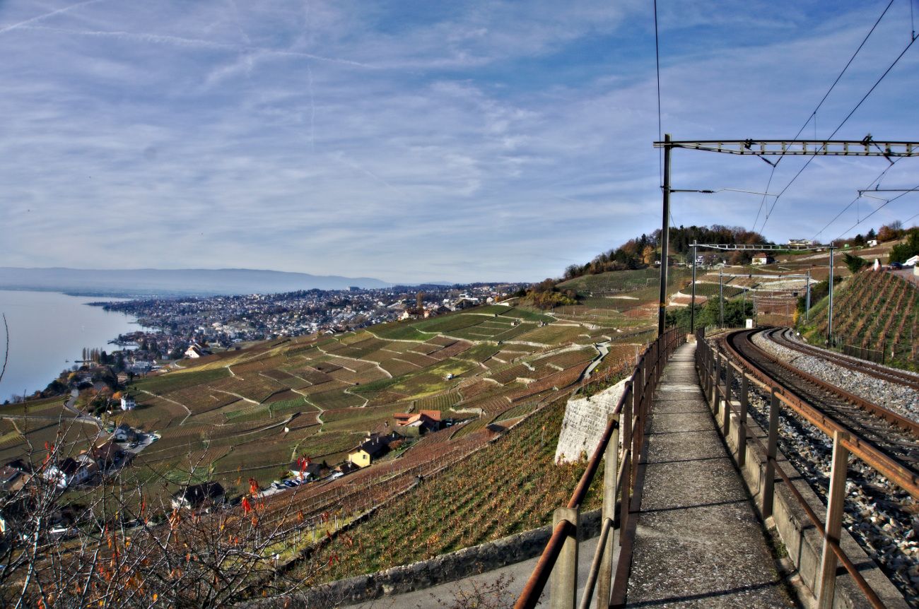 Voilà la vue que vous avez depuis la train... pas mal non? lavaux train