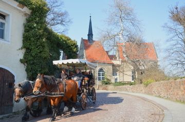 calèche et chevaux