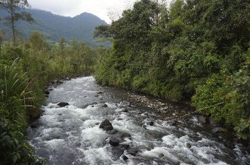 la rivière qui passe dans Mindo