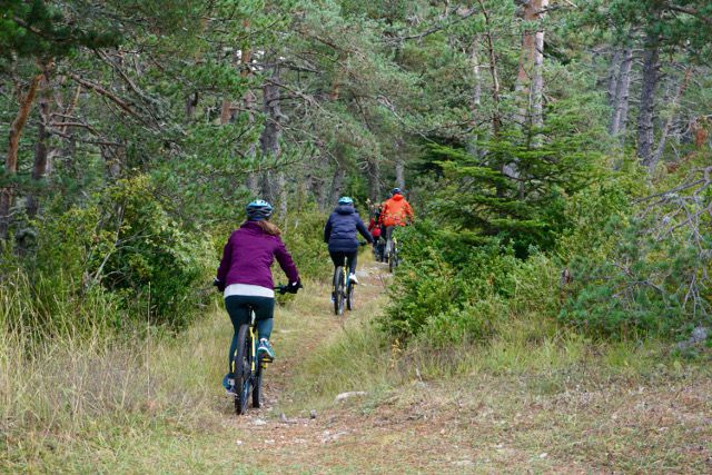 VTT avec assistance électrique