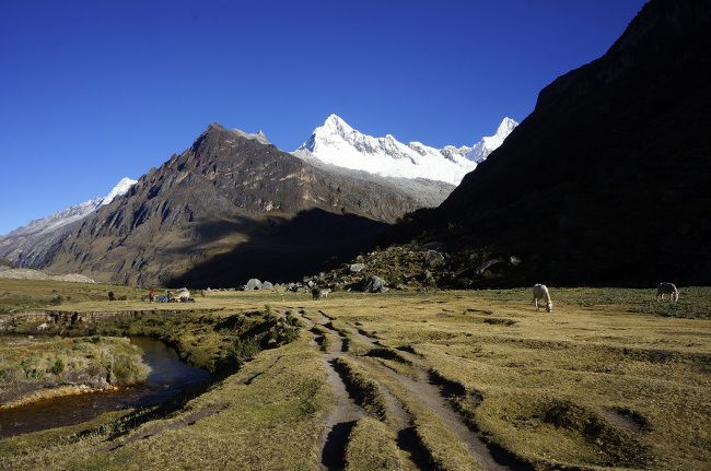 trekking in peru