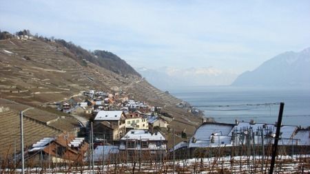 lavaux