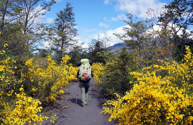 le trek en solo c'est la liberté et l'aventure ;) trek aventure