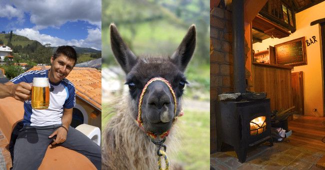 hostal llulu lama