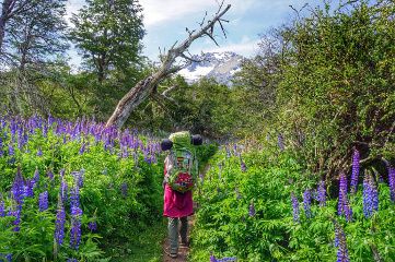 randonner en patagonie au printemps... pas forcément évident patagonie printemps