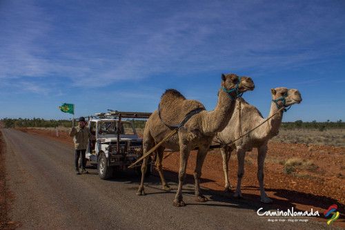 4x4 chameaux