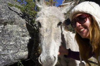un selfe avec une mule