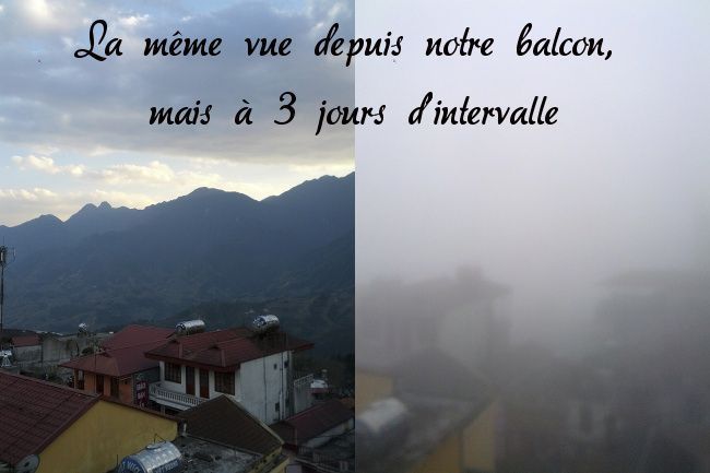 vous prendrez bien encore un peu de purée de pois? sapa dans le brouillard