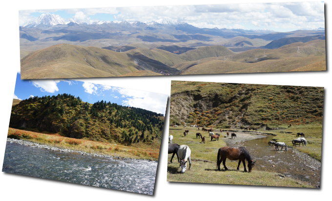 plateau tibetain