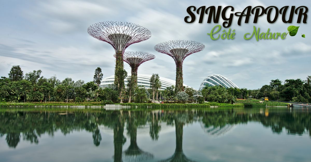 Gardens by the Bay, Singapour