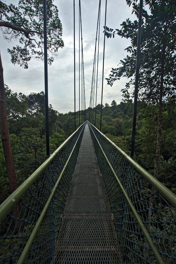 pont suspendu singapour