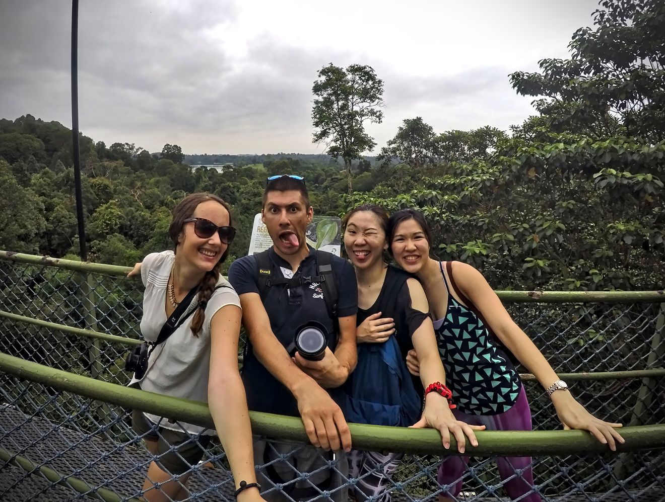 tree top walk singapour