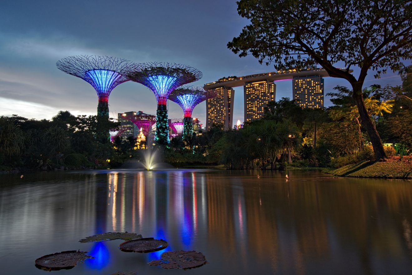 the gardens by the bay by night