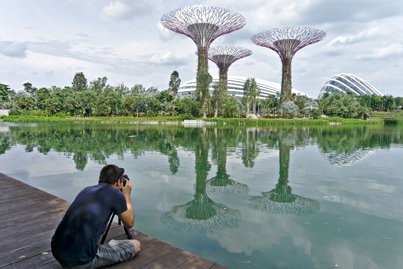 les arbres de singapour