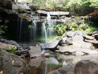 cascade jungle