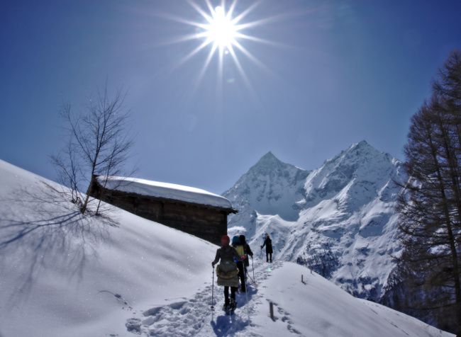 snowshoeing Breona