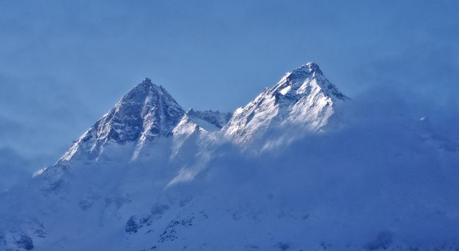 dent de veisivi