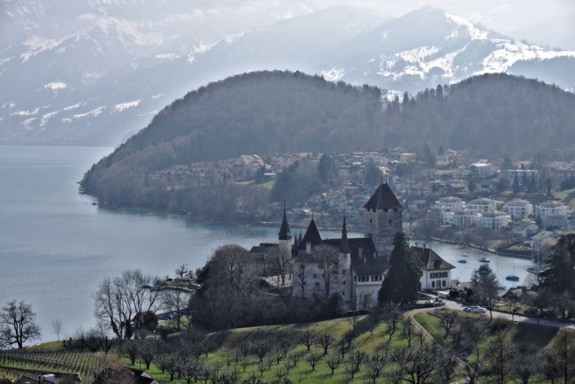 Le chateau de Spiez au bord du lac de Thoune spiez