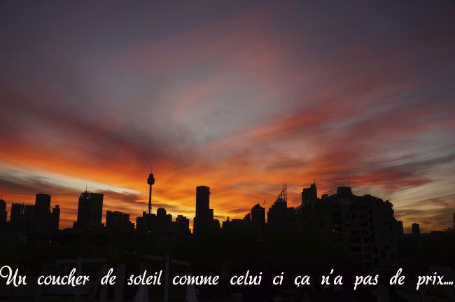 coucher de soleil sur sydney