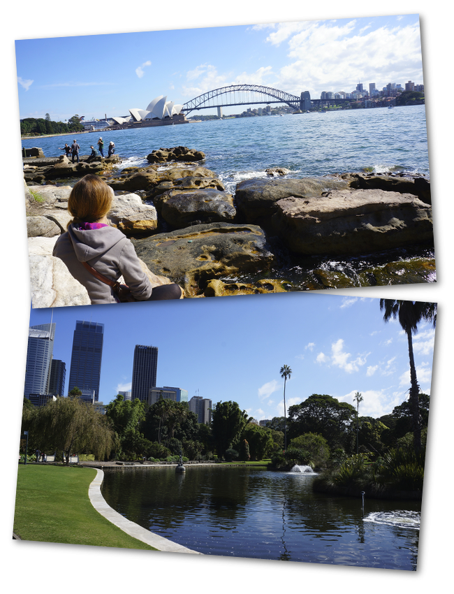 le jardin botanique de sydney