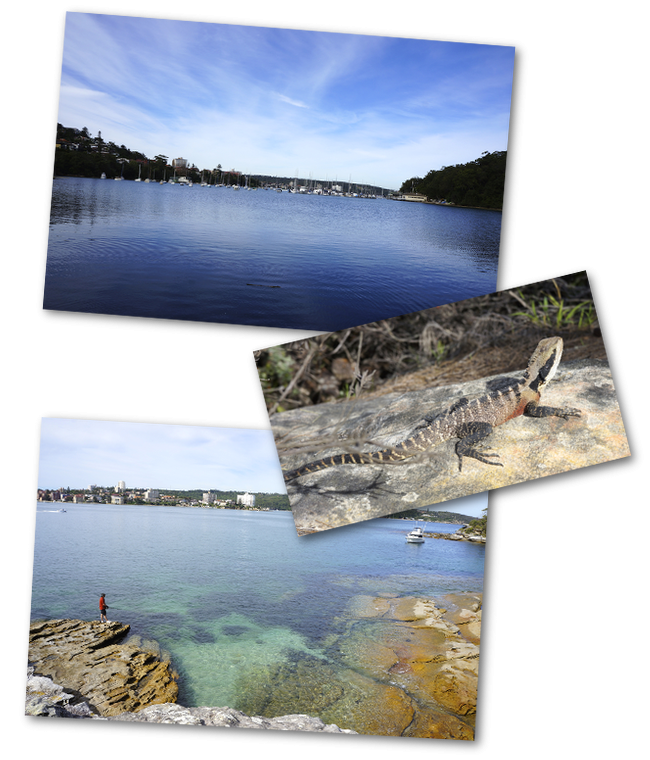 scenic walkway manly à spit