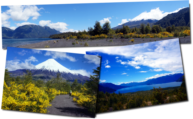 Le contraste entre le volcan Osorno et les Retamas (fleurs jaune) est splendide non? osorno petrohue