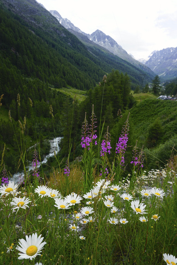 randonnée de Arolla aux Haudères