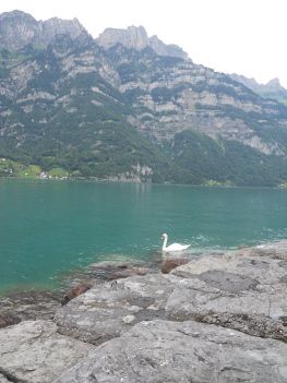 walensee falaises